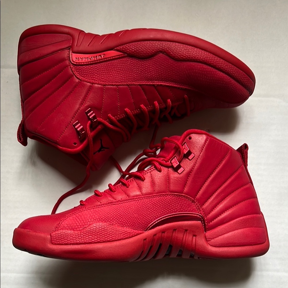 Men Nike air Jordan 12 retro/AUTHENIC